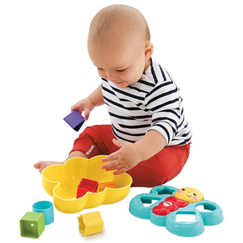 Fisher-Price Butterfly Shape Sorter