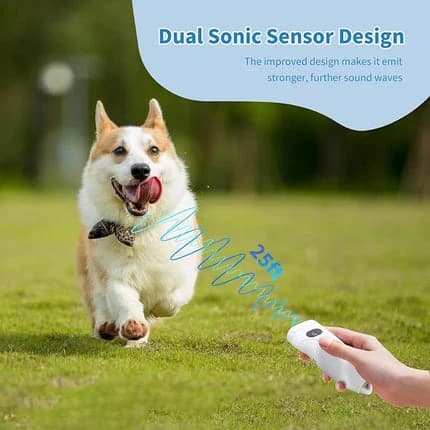 Dog Bark Preventer with Training Flashlight