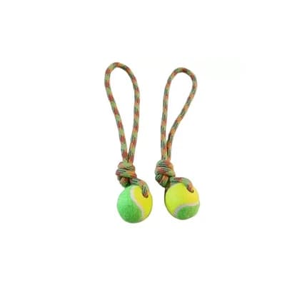 Dog Toy