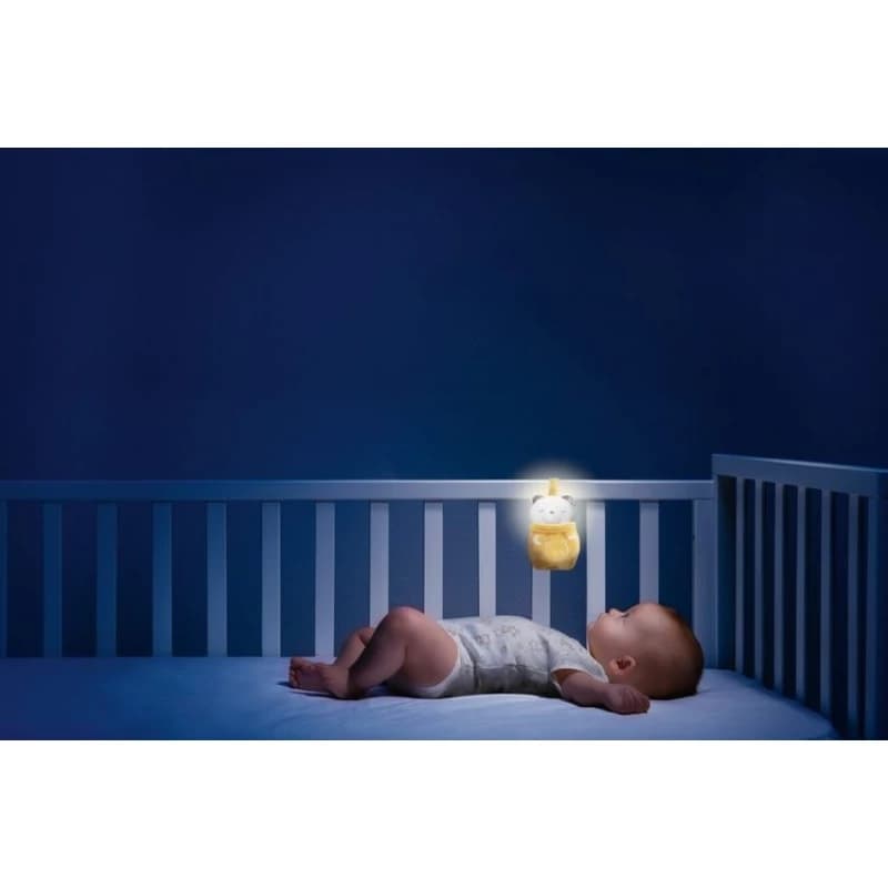 Chicco Toy Fd Day And Night Bear Rattle