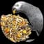 Birds Mix Seeds
