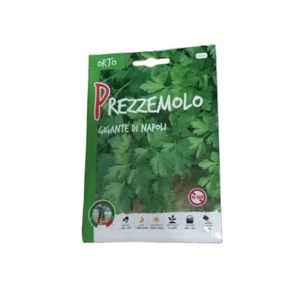 PARSLEY SEEDS