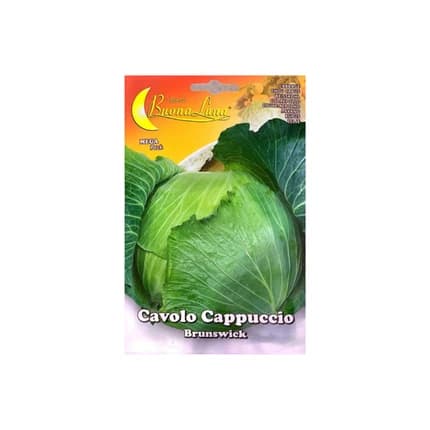 CABBAGE SEEDS
