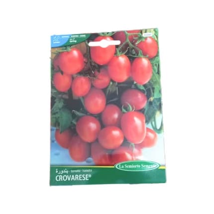 SMALL TOMATO SEEDS