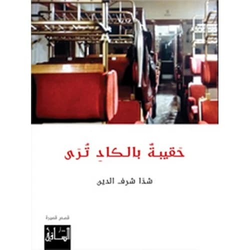 A Barely Seen Bag by Shaza Sharafeddine