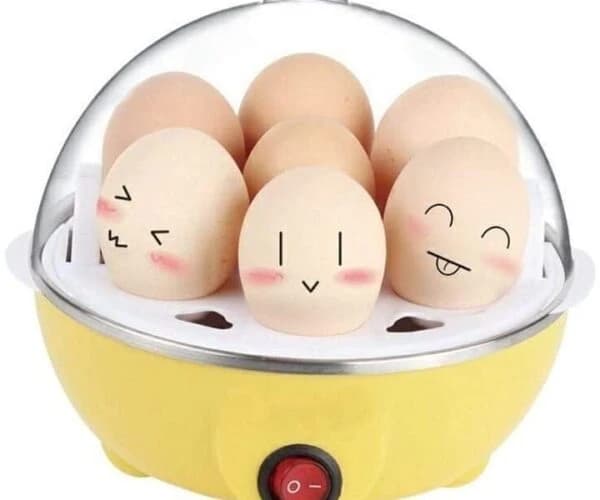 Electric Egg Cooker