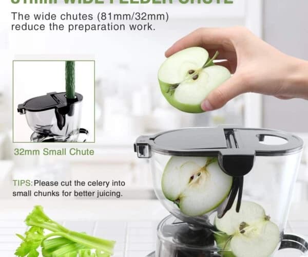 Slow Juicer