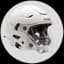 Sports Helmets