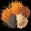 Seeds