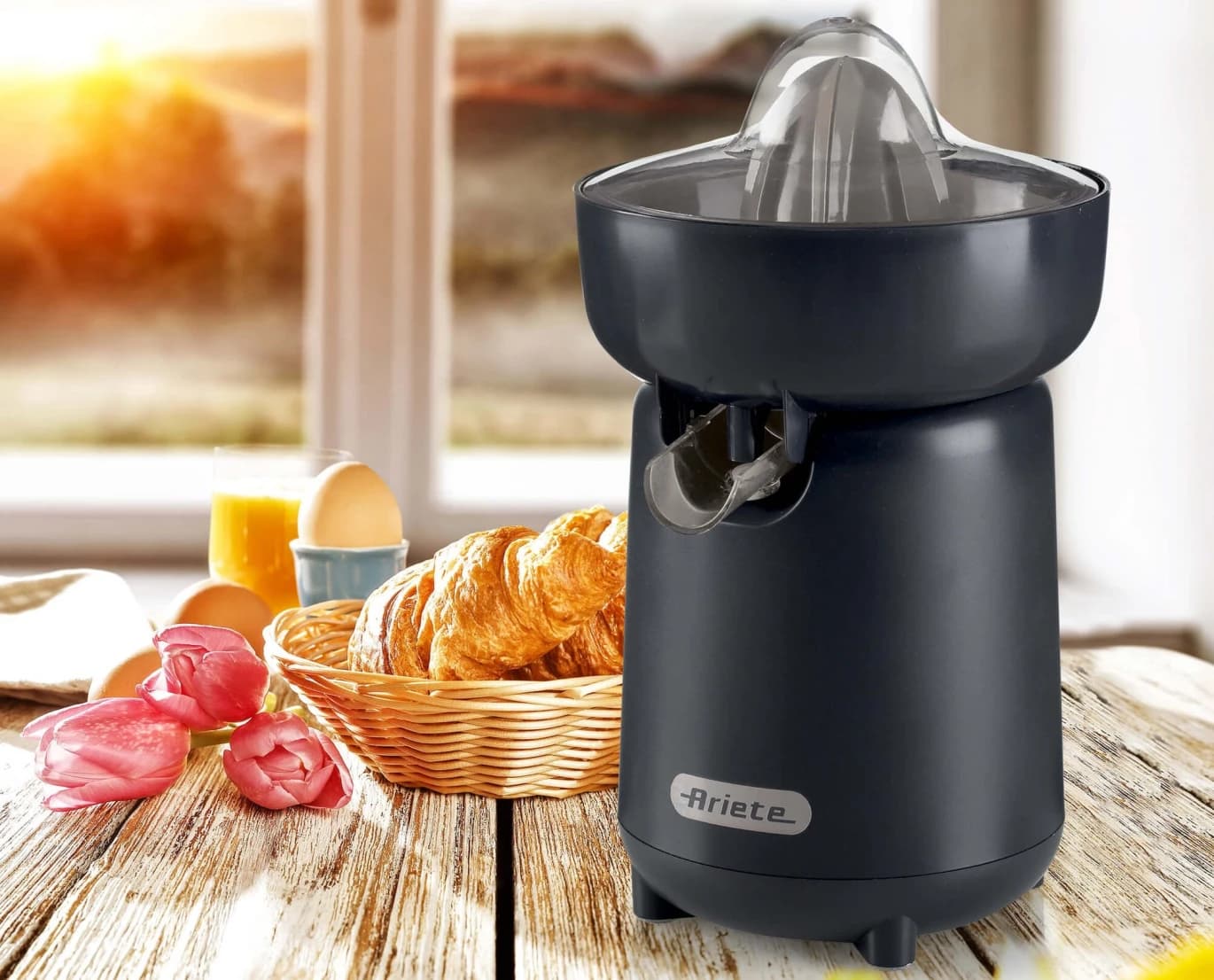 Ariete Citrus Juicer 40W Black