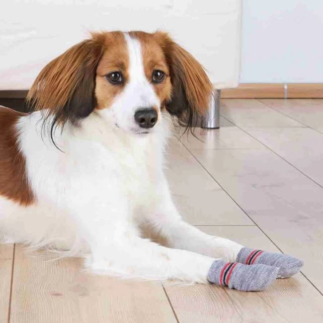 Trixie Dog Socks (xxs to xl)