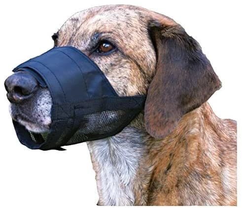 Trixie muzzle net from small to large