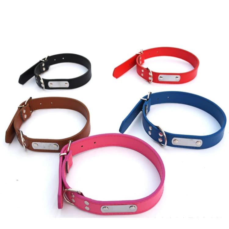 leather dog collar