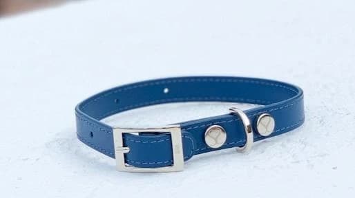 leather dog collar