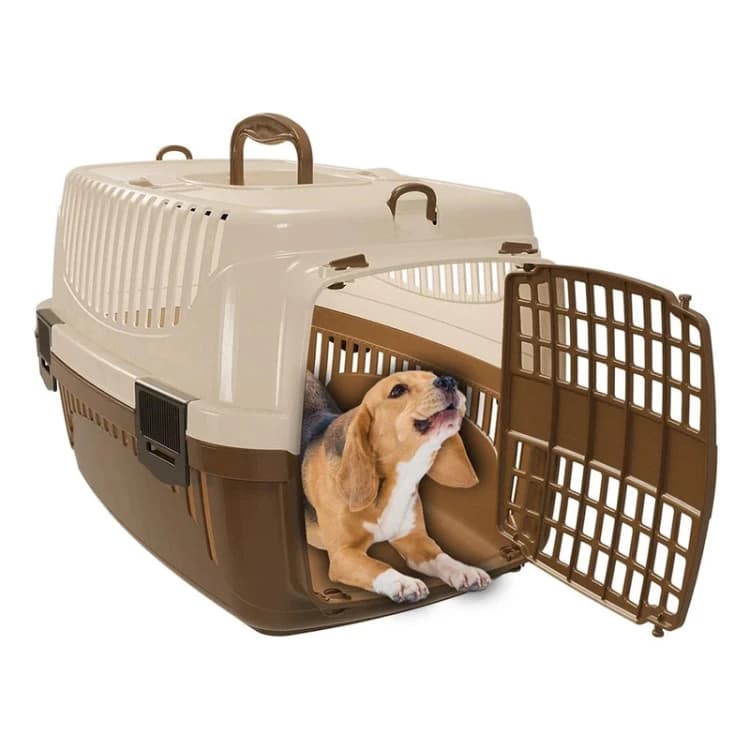Box for transporting large dogs and cats 55x33x37 cm