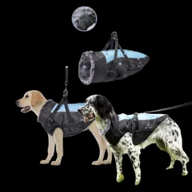Amazing dog waterproof jacket from xl to 6 xl