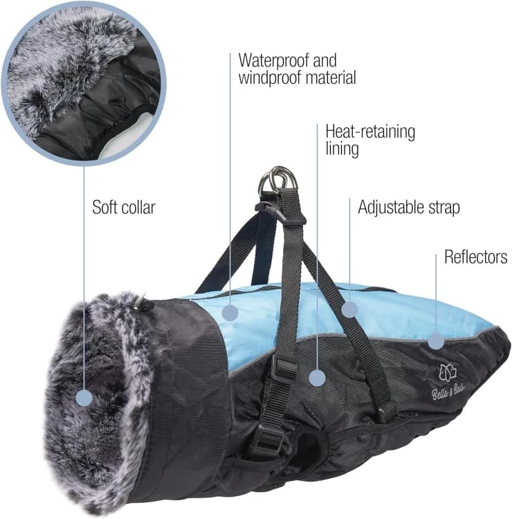 Amazing dog waterproof jacket from xl to 6 xl
