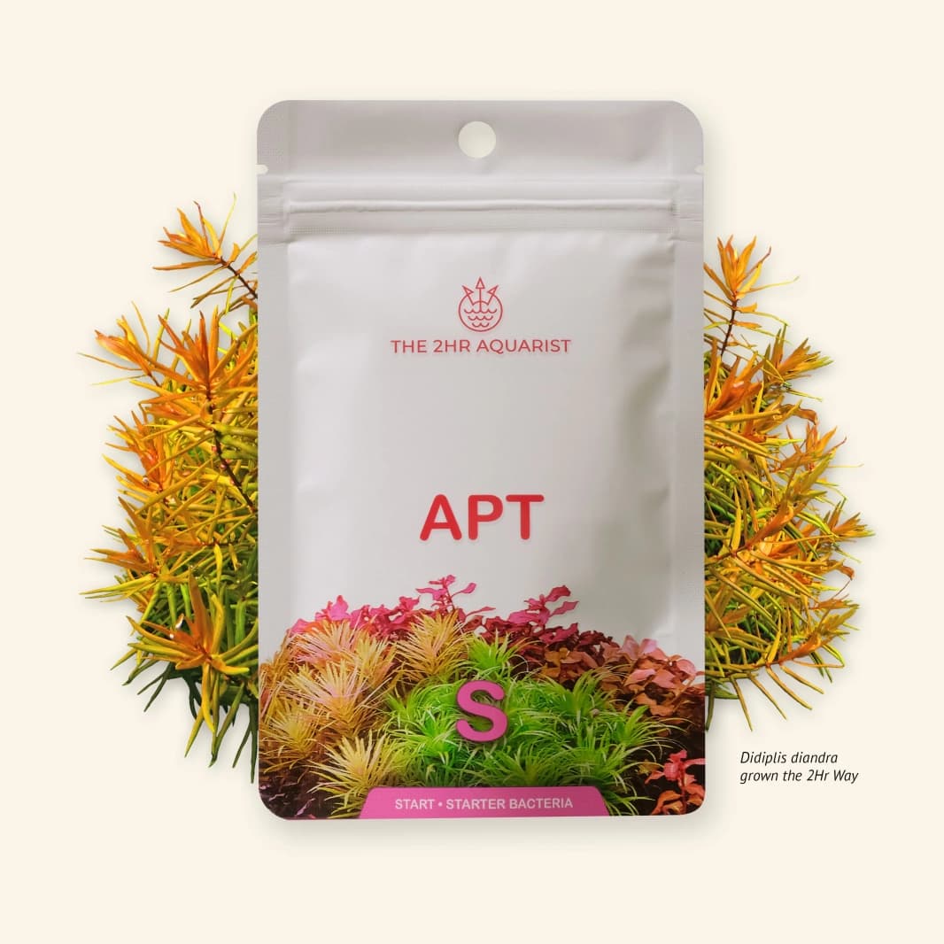2HR APT S ( Start )