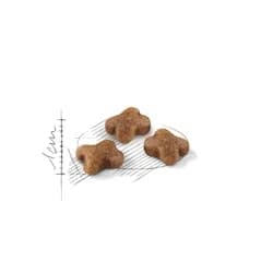 Royal Canin for Kittens