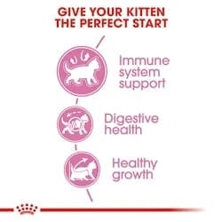 Royal Canin for Kittens