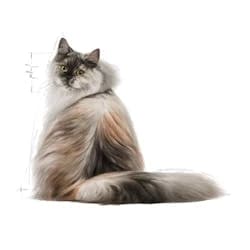 Royal Canin Hair and Skin Care
