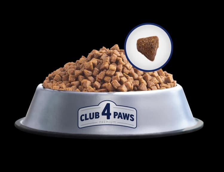 Club 4 Paws Hairball Control