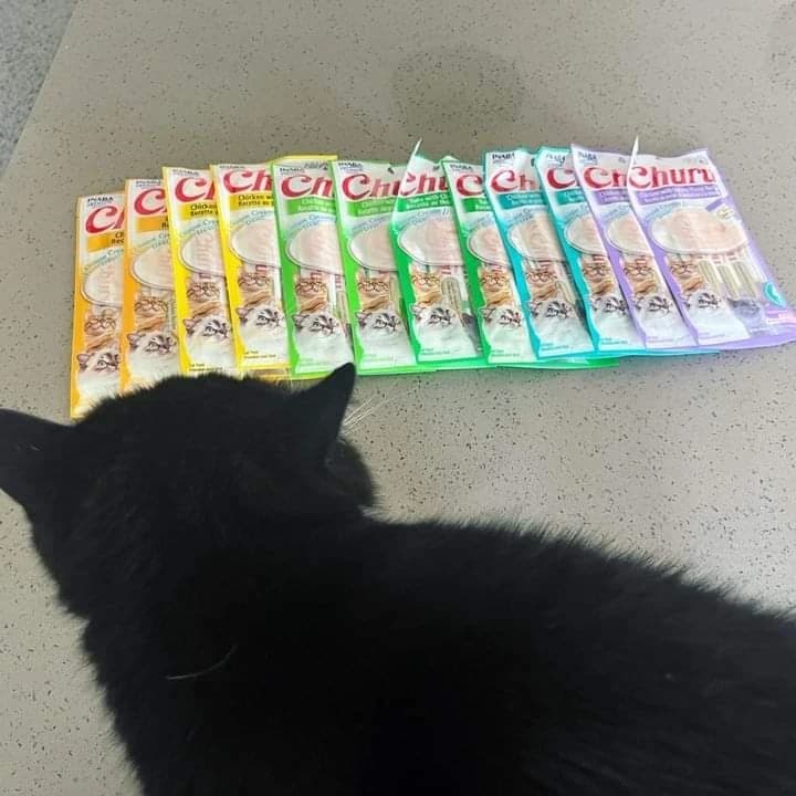 5 Creamy Treat Sachets '20 Tubes' with Various Flavors from Inaba