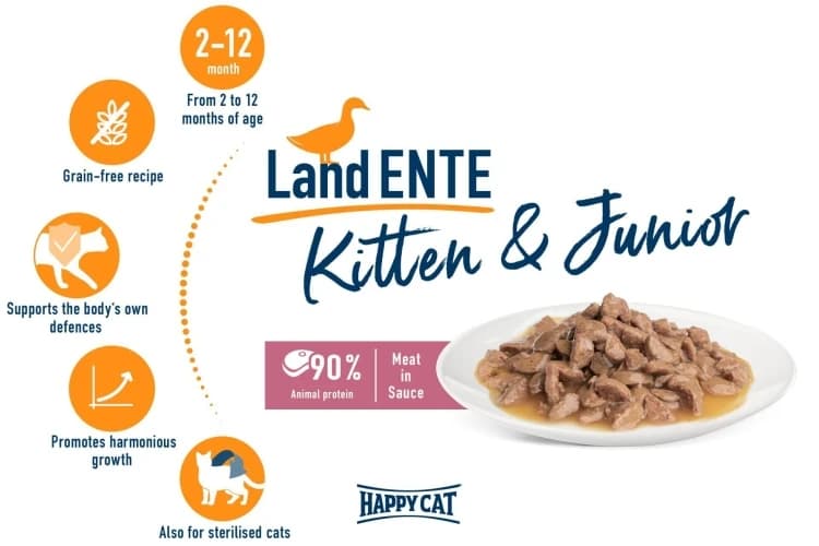 Happy Cat Kitten Duck Junior
