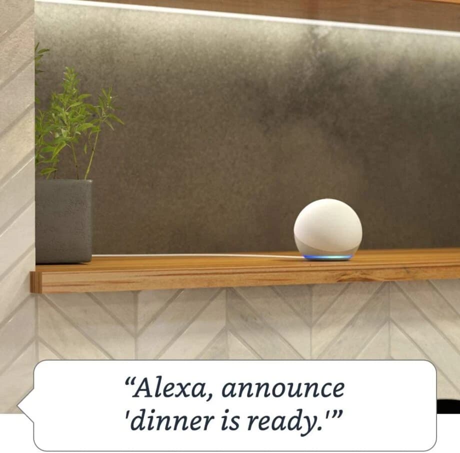 Amazon Echo Dot 4th Gen Smart Speaker