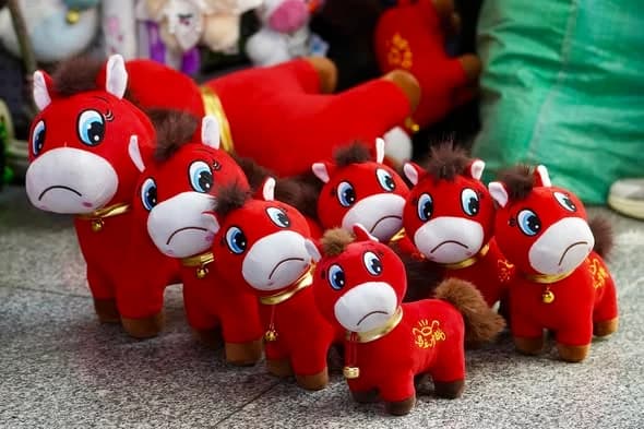 Crying Horse Doll