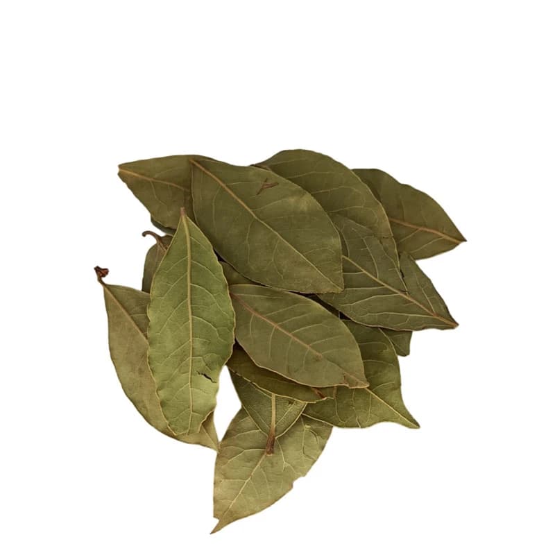The Spice Shop Lebanese Bay Leaf