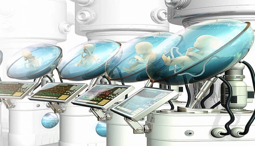 Artificial Womb