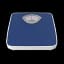 Weight Scales