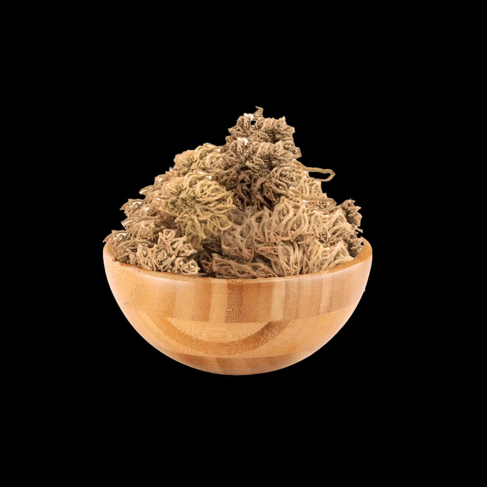 Rayhan Rose of Jericho Herb