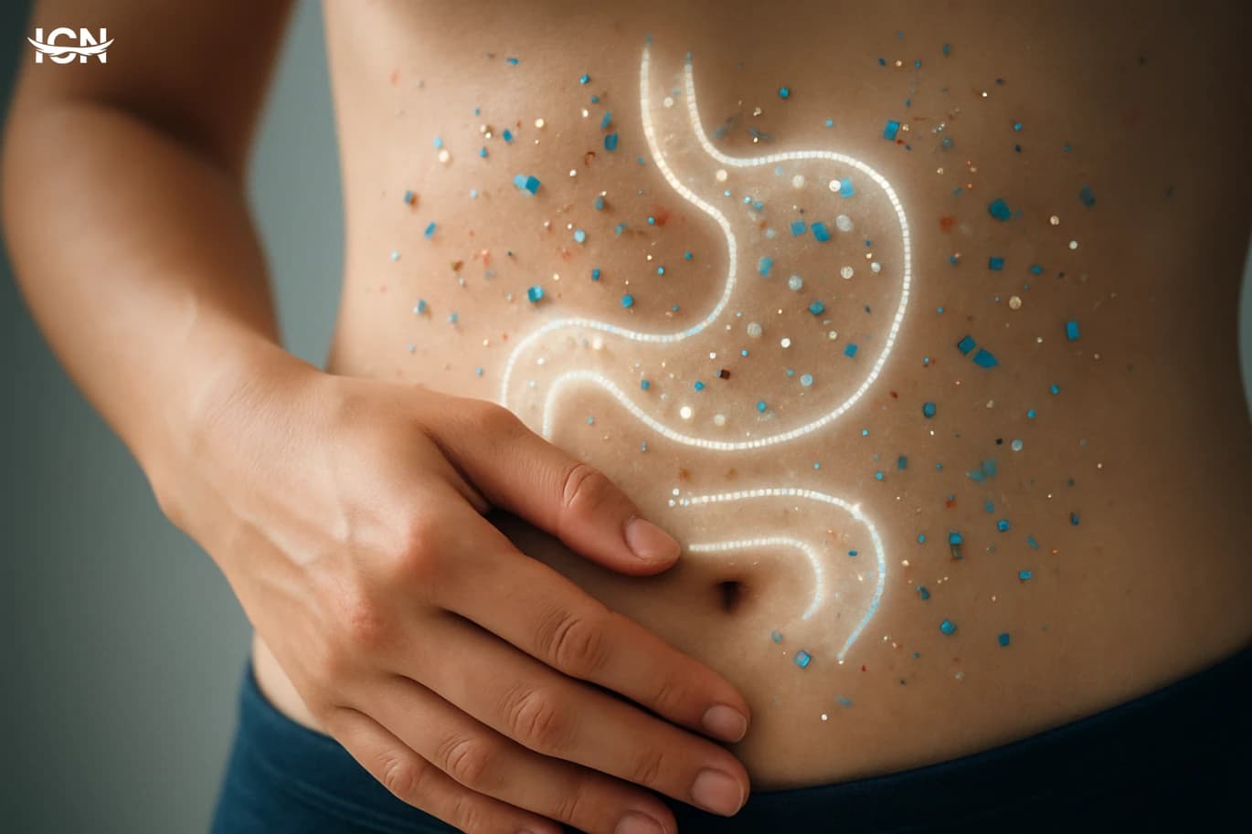 How Microplastics Move Through Our Bodies