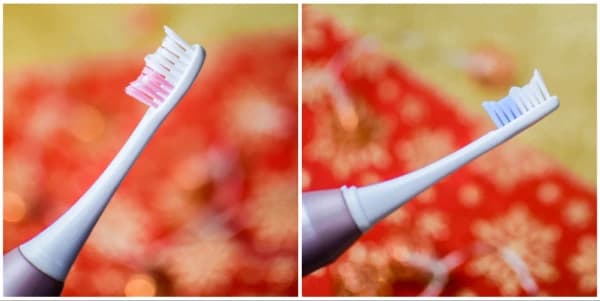 Sonic Toothbrush | WW-Sonic