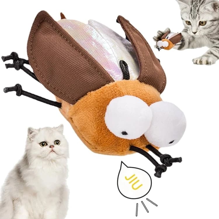 Cat toys offer