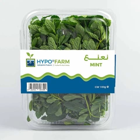 Mint 100 Gram