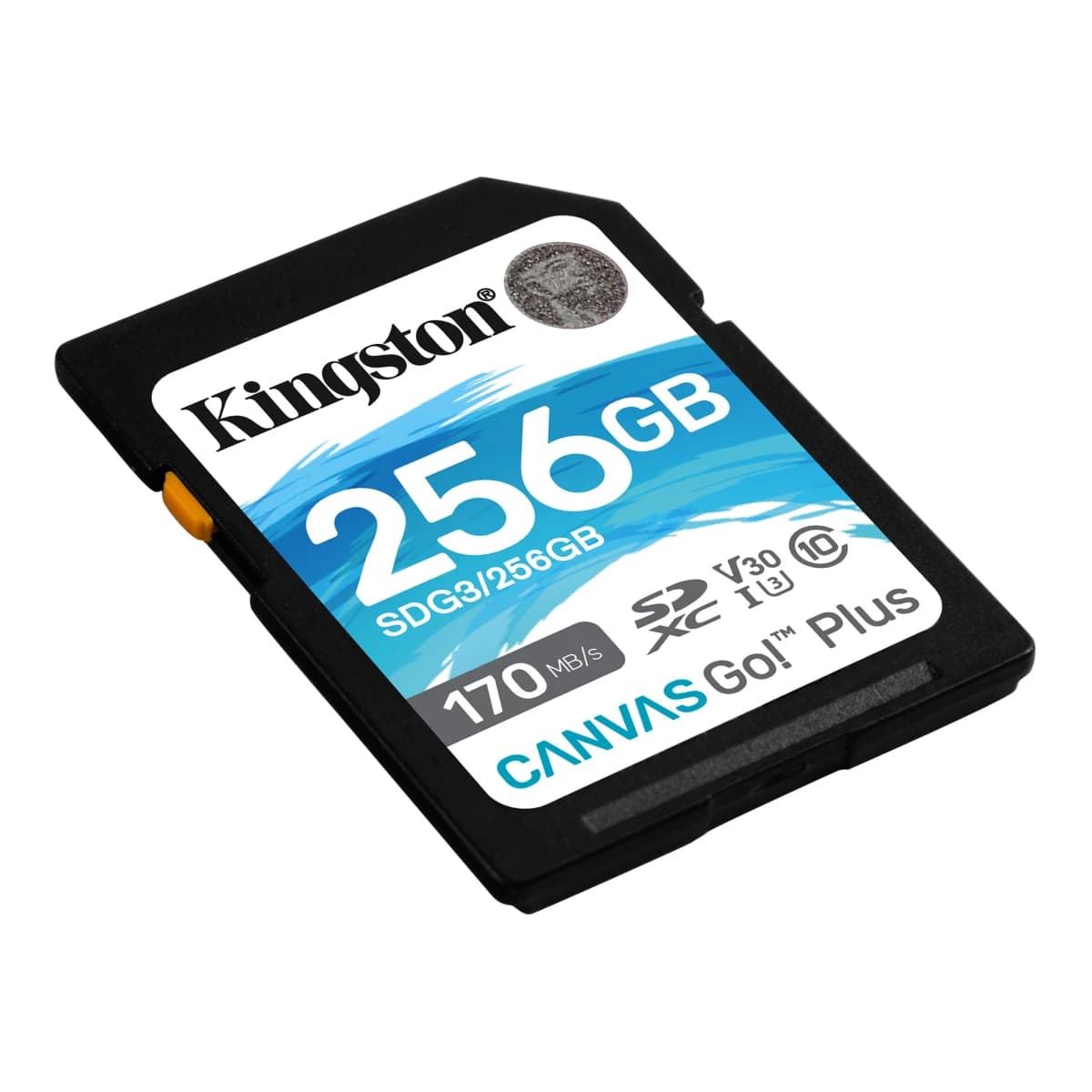 Kingston Canvas Go! Plus SD Memory Card 256GB - open box