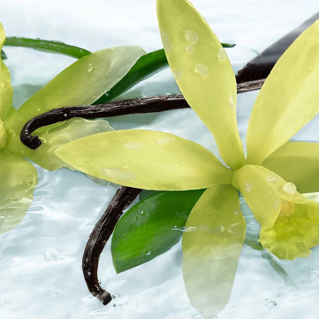 Sensual Liquid Hand Soap - Bourbon Vanilla