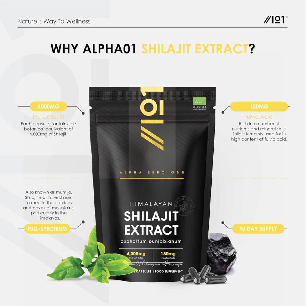 Shilajit Extract 20:1 Equivalent to 4000 mg (120 mg Fulvic Acid) 90 Capsules Alpha01