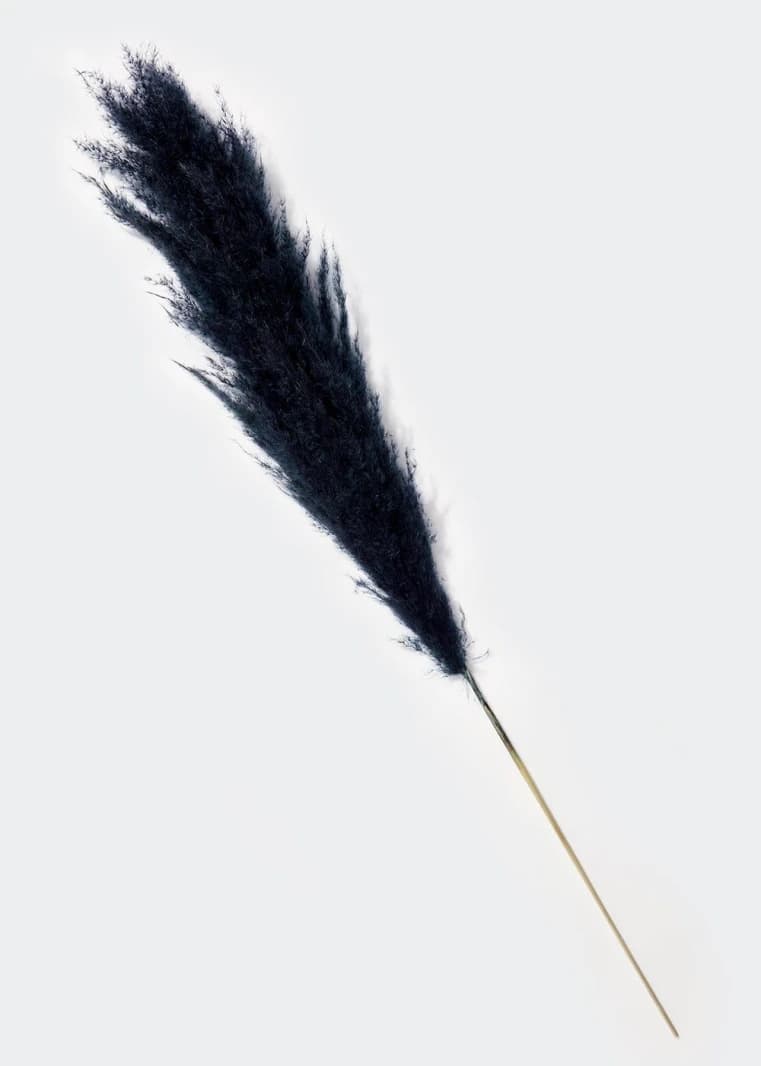 Pampas Grass - Navy