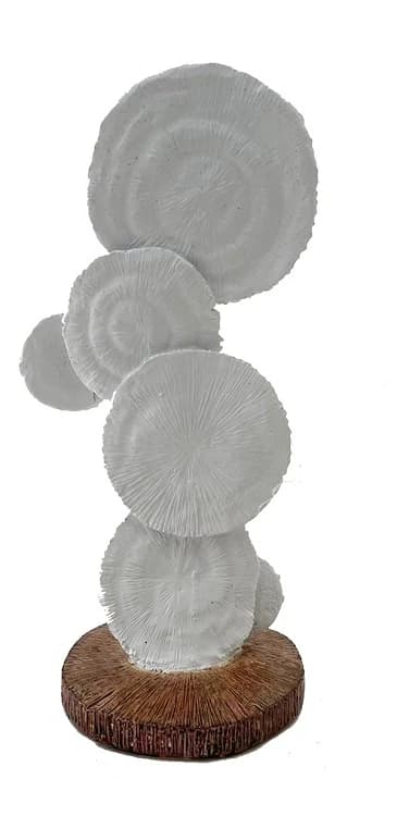 Coral Resin Decor