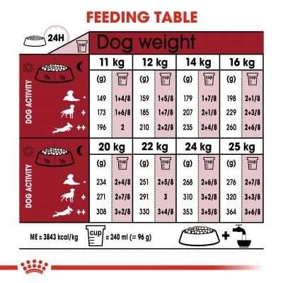 Royal Canin Medium Adult