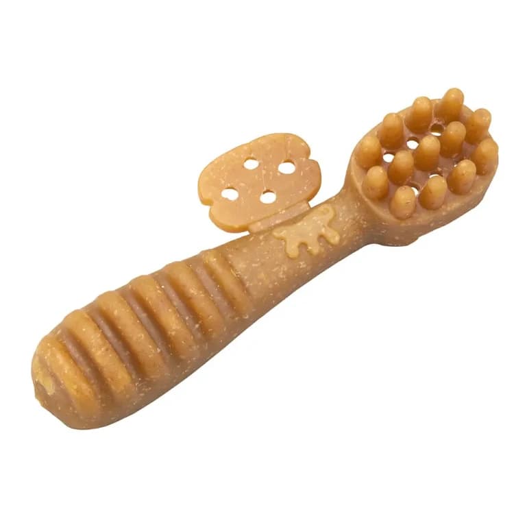 Toothbrush for Intestinal Health