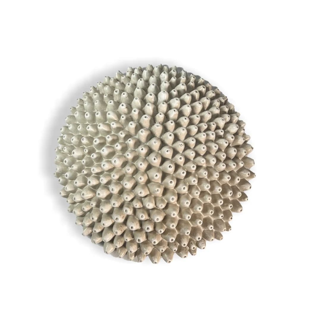 Coral Sponge Wall Décor (Medium)