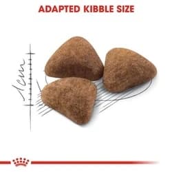 Royal Canin Indoor Dry Food