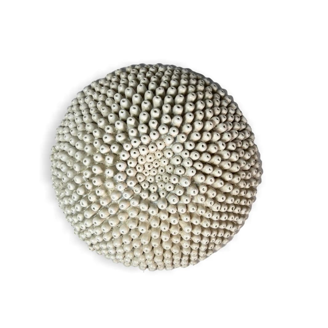 Coral Dangler