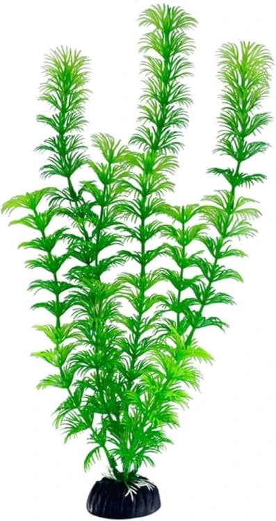 Plastic Plants