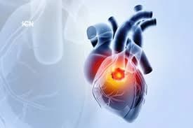 Why Cancer Rarely Starts in the Heart